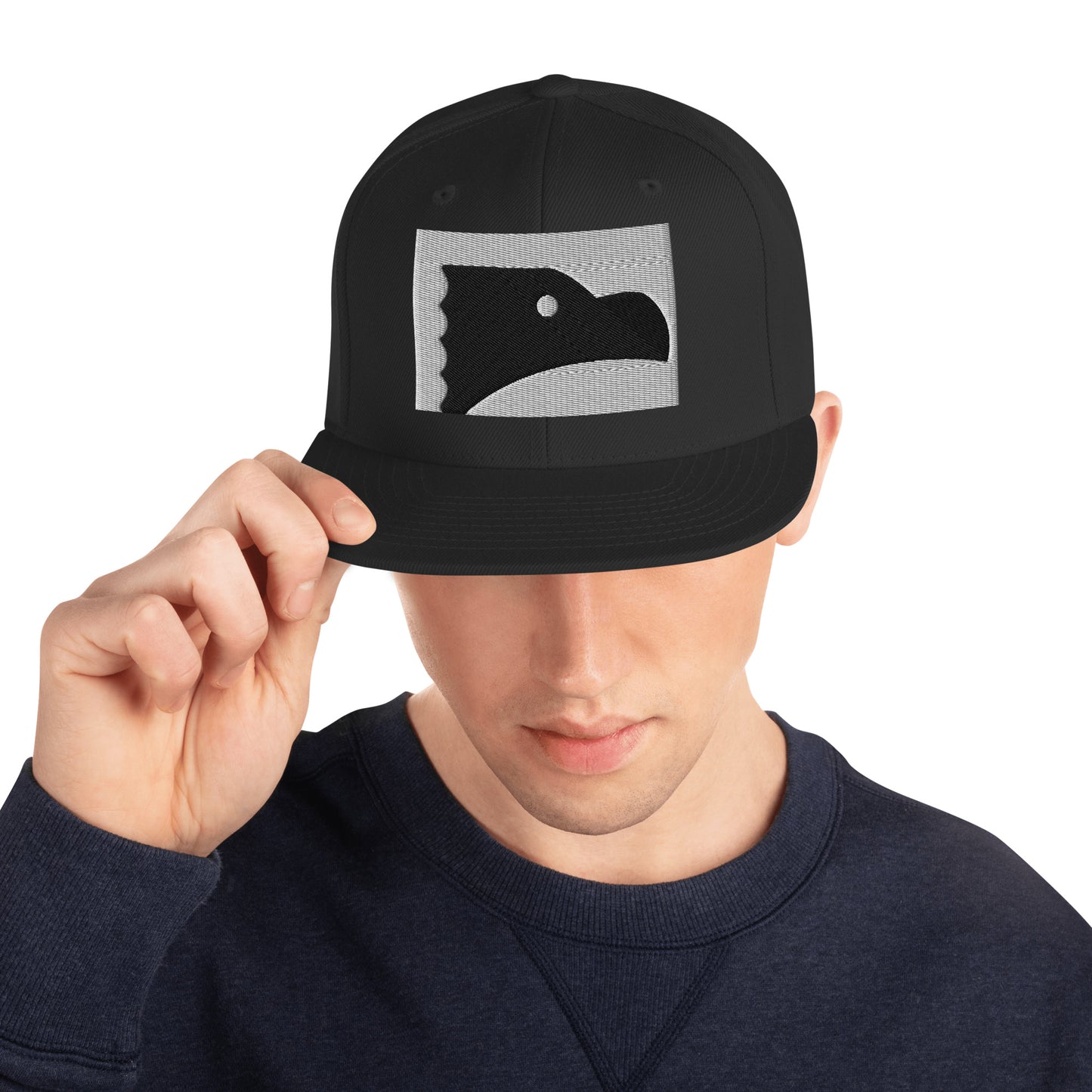 Snapback Hat